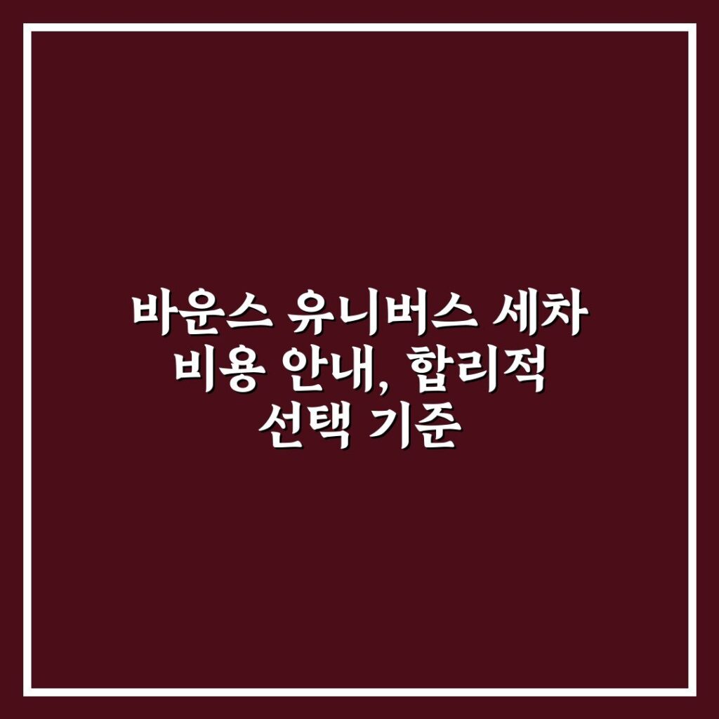 바운스 유니버스 세차 비용 안내, 합리적 선택 기준