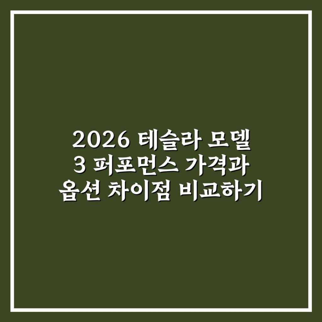 2026 테슬라 모델 3 퍼포먼스 가격과 옵션 차이점 비교하기