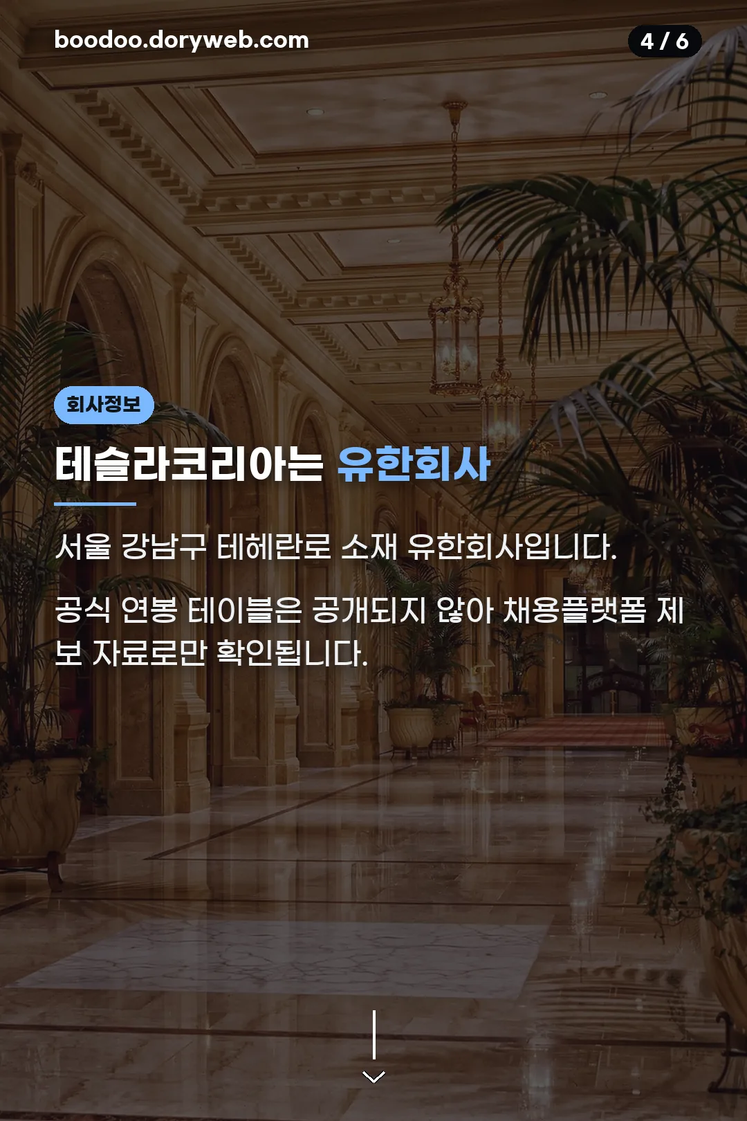회사 정보